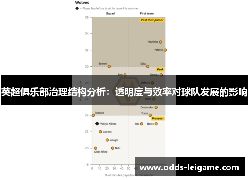 英超俱乐部治理结构分析:透明度与效率对球队发展的影响 英超俱乐部治理结构分析:透明度与效率对球队发展的影响