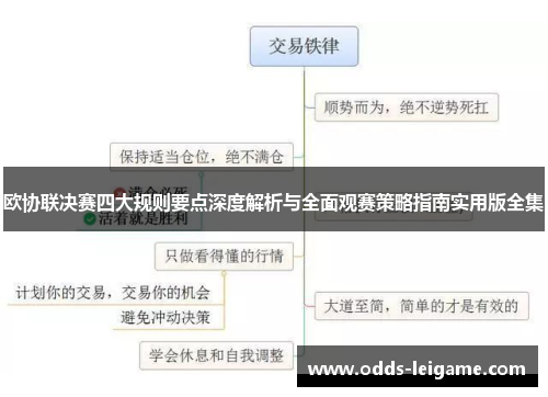 欧协联决赛四大规则要点深度解析与全面观赛策略指南实用版全集