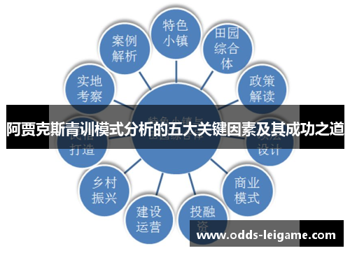 阿贾克斯青训模式分析的五大关键因素及其成功之道 阿贾克斯青训模式分析的五大关键因素及其成功之道