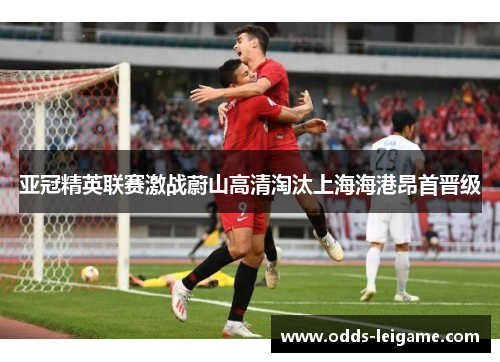 亚冠精英联赛激战蔚山高清淘汰上海海港昂首晋级 亚冠精英联赛激战蔚山高清淘汰上海海港昂首晋级