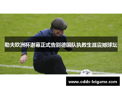 勒夫欧洲杯谢幕正式告别德国队执教生涯震撼球坛