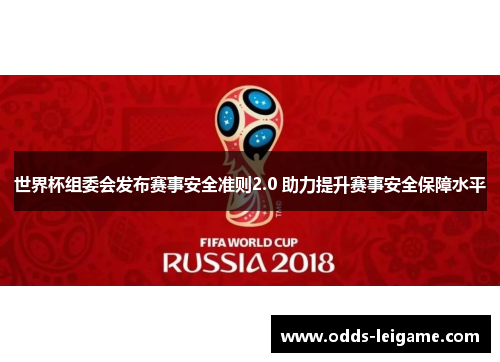 世界杯组委会发布赛事安全准则2.0 助力提升赛事安全保障水平